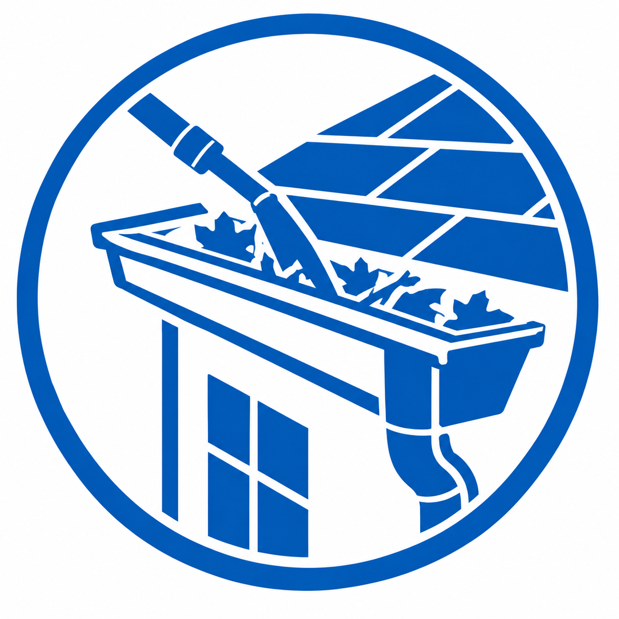 gutter cleaning south surrey white rock